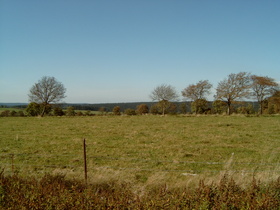 Blick von der L517 nach Nordwesten