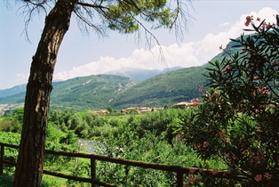 Blick über die Sarca auf den Monte Bondone, im Vordergrund rechts Oleander (Nerium oleander)