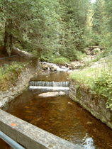 Dammgraben, Kreuzung mit einem Bach mit Oberlauf des Baches