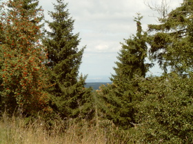 "Steile Wand", oberes Ende, Blick nach Norden