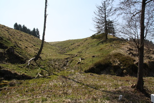 ein Schmelzwasserbach südöstlich von Altenau