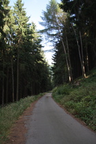 der Harzrundweg, hier Teil des Europa-Radweges R1, zwischen Oker und Goslar