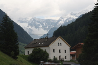 … im Hintergrund die Zillertaler Alpen