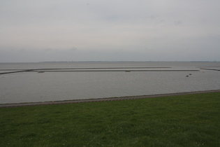 Blick über das Hilgeroder Watt auf Norderney (Westseite)