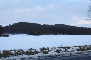 Benther Berg, Gipfelbereich
