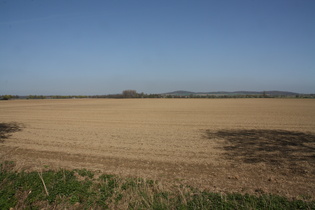 Agrarwüste, im Hintergrund der Gehrdener Berg