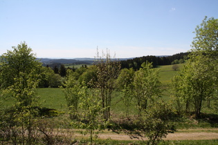 oberhalb von St. Andreasberg, Blick nach Westen