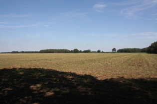 Agrarsteppe südlich von Buchholz (Aller)