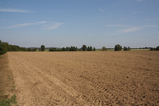 Agrarwüste zwischen Langreder und Egestorf, im Hintergrund der Gehrdener Berg