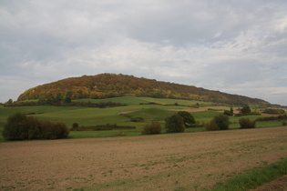 der Scharfenberg, höchster Berg des Ellenser Waldes, an dessen Südwestrand gelegen