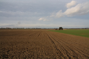 Agrarwüste zwischen Leveste und Egestorf