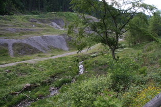 die Laute östlich von Lautenthal umgeben von Abraumhalden des Bergbaus, Blick flussabwärts