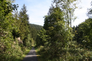 Radweg, ehemalige Bahntrasse zwischen Lautenthal und Wildemann