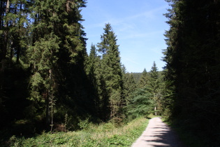 Schotterpiste zwischen Wildemann und Clausthal-Zellerfeld