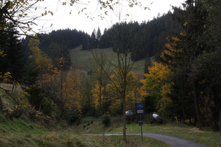 Radweg auf der Trasse der ehemaligen Innerstetalbahn nördlich von Wildemann, der Anblick erinnert an die Voralpen