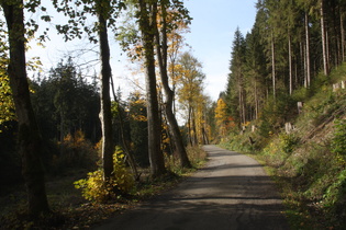unteres Ende der "Bergstraße" zwischen Wildemann und Hahnenklee-Bockswiese