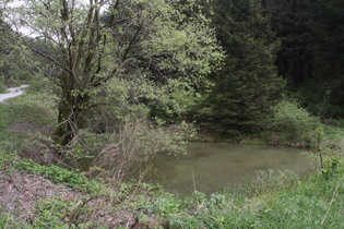 ein Teich unterhalb des Granequellgebietes