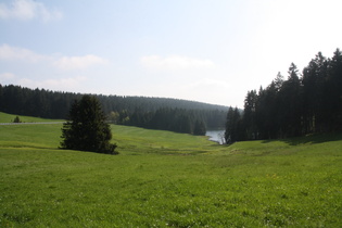 westlich von Auerhahn, Blick über den Auerhahnteich nach Südwesten