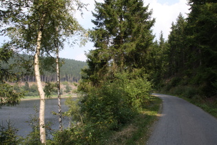 Okerstausee, Weg zwischen Kalbetal und Vorsperre