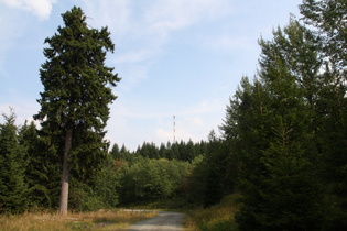Blick vom Ochsenberg nach Torfhaus