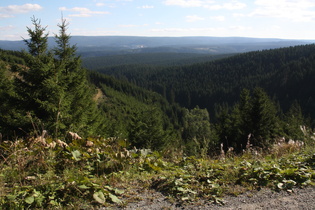 Blick vom Steilhang nach Südosten auf Altenau
