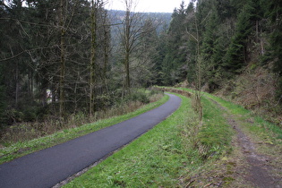 Innerstetalradweg zwischen Lautenthal und Wildemann, Blick nach Norden