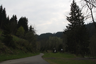 Innerstetalradweg nördlich von Wildemann, Blick nach Süden