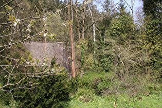 Reste der Innerstetalbahn in Wildemann