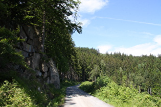 Weg oberhalb der Steinernen Renne, Blick nach Norden