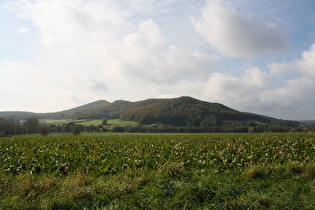 Blick nach Südwesten auf den Burgberg