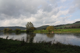 die Weser zwischen Pegestorf und Dölme, Blick flussaufwärts