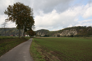 Blick von Südosten auf Dölme und die Felswände bei Steinmühle