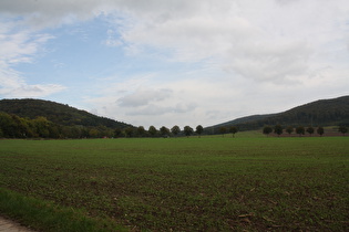 Blick von Forst ins Forstbachtal