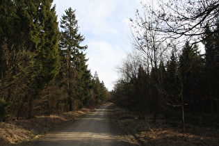 Kammweg zwischen Höfeler und Hohe Warte, Blick nach Südosten