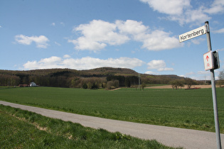 Wörmketal zwischen Elbrinxen und Rischenau, Blick zum Kortenberg