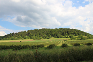der Dreienberg südlich von Friedewald