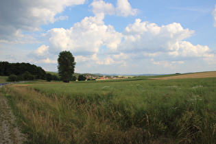zwischen Betzenrod und Roßbach, Blick nach Süden