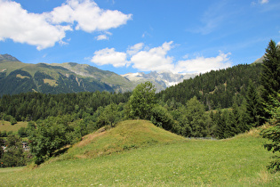 Blick von Ernen über das Fieschertal auf die Berner Alpen