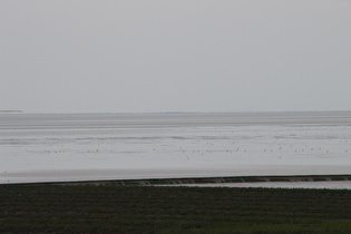 Zoom über das Harlesieler Watt auf das Harle-Seegatt zwischen Spiekeroog und Wangerooge