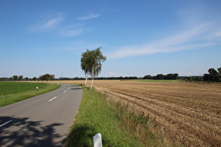 zwischen Suderburg und Böddenstedt, Blick nach Norden