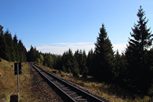 Gleise der Brockenbahn auf ca. 800 m ü.NHN