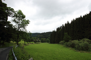 Odeborntal oberhalb von Girkhausen, Blick nach Norden