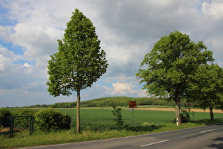 Steinkrug, östlicher Ortsrand, Blick zum Süllberg, …