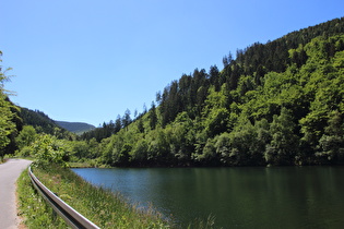 Blick über den Herzberger Teich nach Süden …