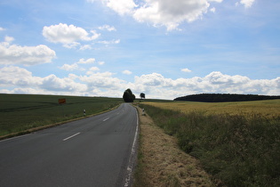 zwischen Nienstedt und Eimbeckhausen, Blick nach Südwesten