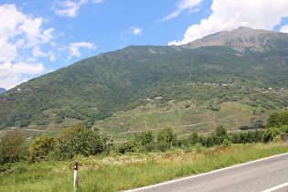 Steilstück zwischen Tirano und Sèrnio, Blick auf Barruffini, darüber der Monte Masuccio