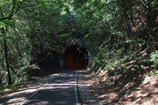 das obere Ende eines ehemaligen Eisenbahntunnelss