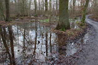 Seenplatte und Matschepampe im Velberholz