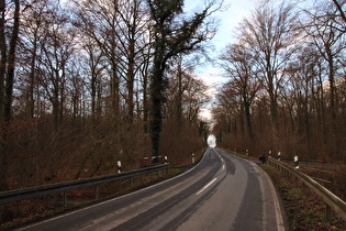 Brücke über die Kirchwehrener Landwehr im Großen Holz