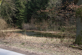 der Legaborn-Teich